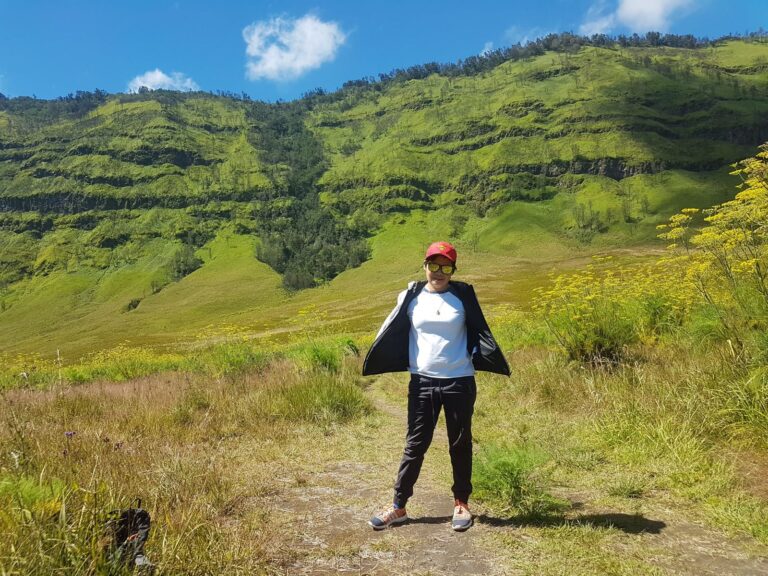 Green savanna hills of the Bromo area