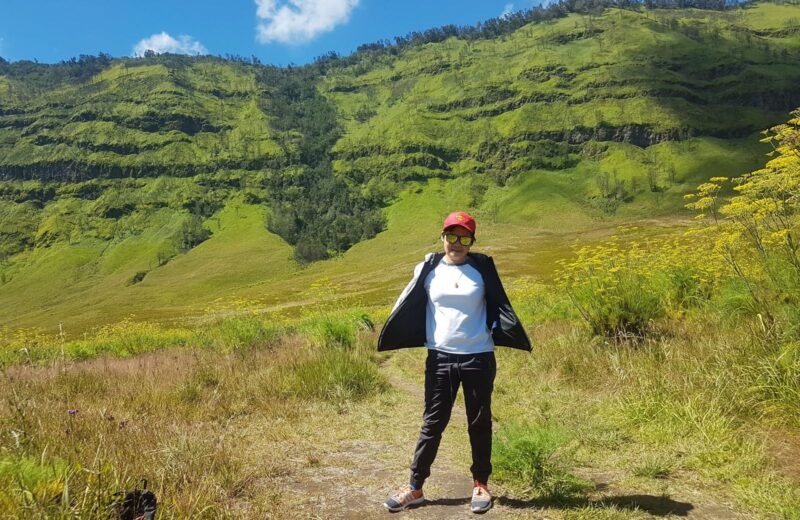Green savanna hills of the Bromo area