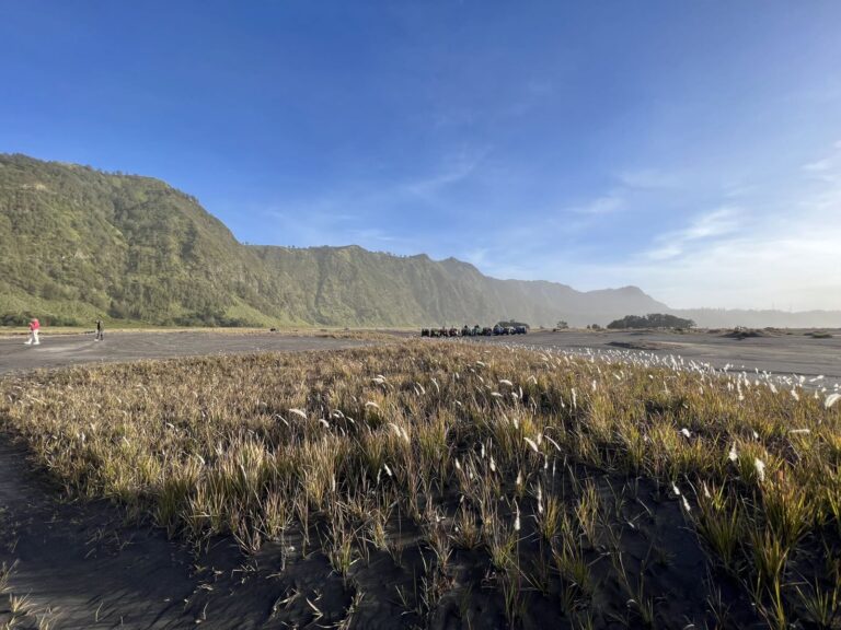 Dry grass and the green caldera wall in the Tengger area