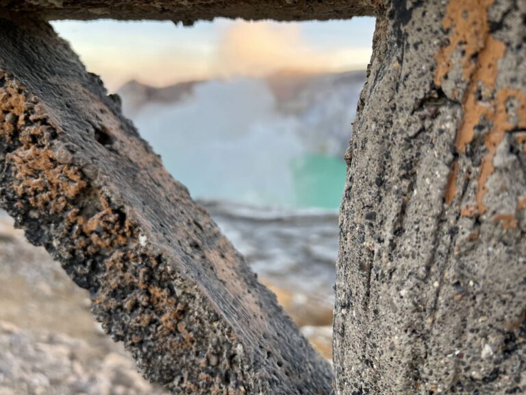 The crater lake framed by tree trunks