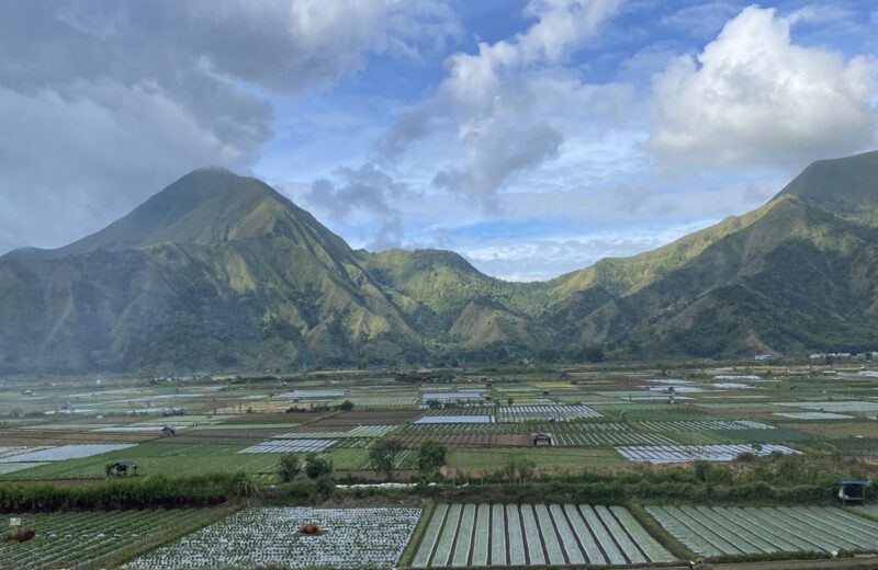 Farmland and the foothills of Mount Rinjani in Lombok