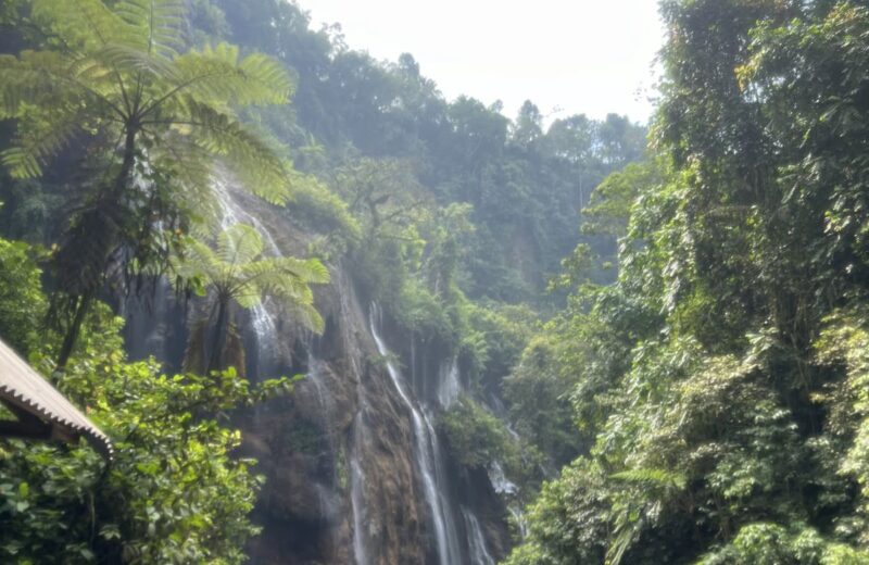 River valley below the Tumpak Sewu waterfalls