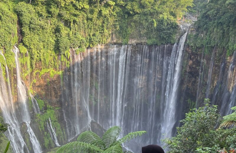 Tumpak Sewu waterfalls above the jungle seen from a viewpoint