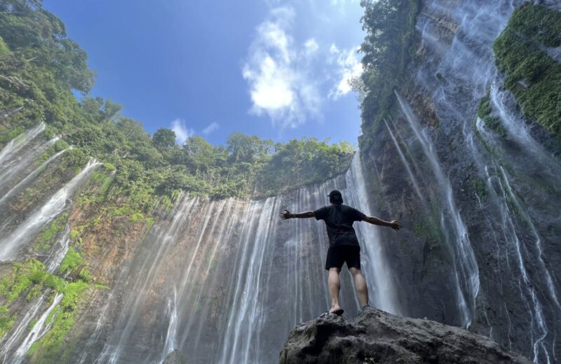 The curtain of waterfalls at Tumpak Sewu seen from below